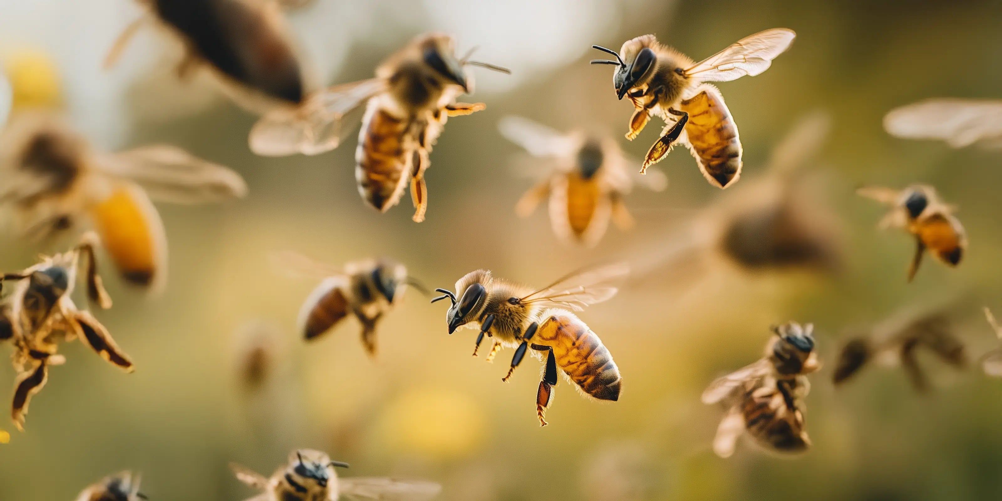 Good for the Wildlife in your Garden and Safe for your Children and Pets