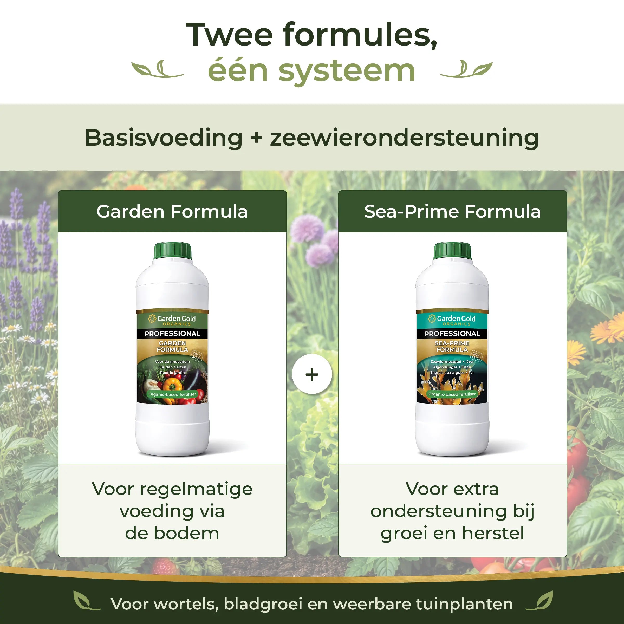 Two-formula feeding system combining Garden Formula as base nutrition and Sea-Prime as seaweed support for garden plants in beds, pots and vegetable gardens