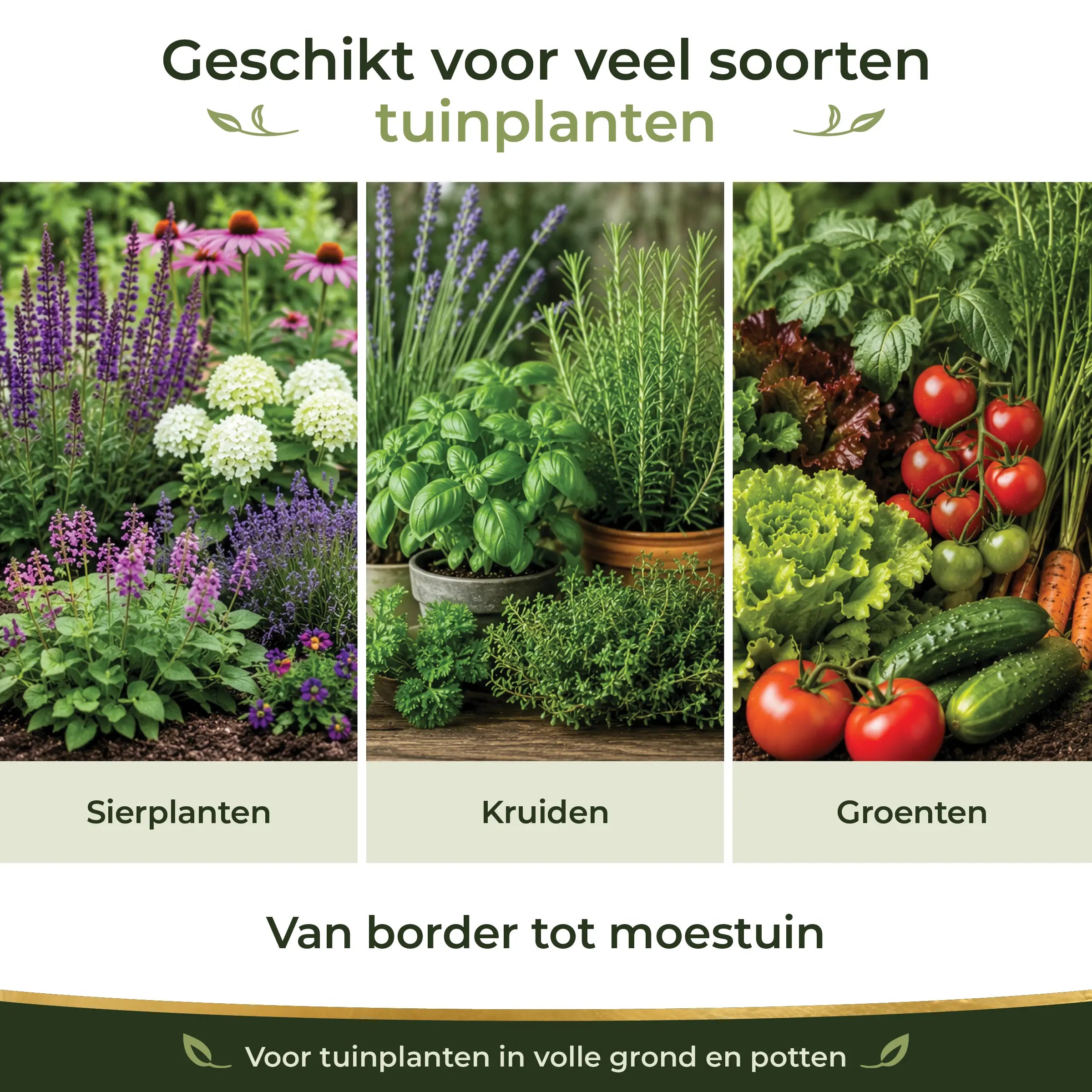 Garden Feeding Program suitable for ornamental plants, herbs and vegetables from flower borders to vegetable gardens