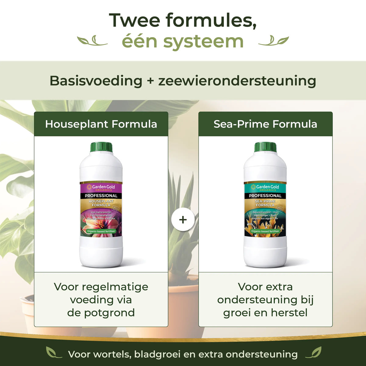 Two-formula feeding system combining Houseplant Formula as base nutrition and Sea-Prime as seaweed support for roots, leaf growth and recovery