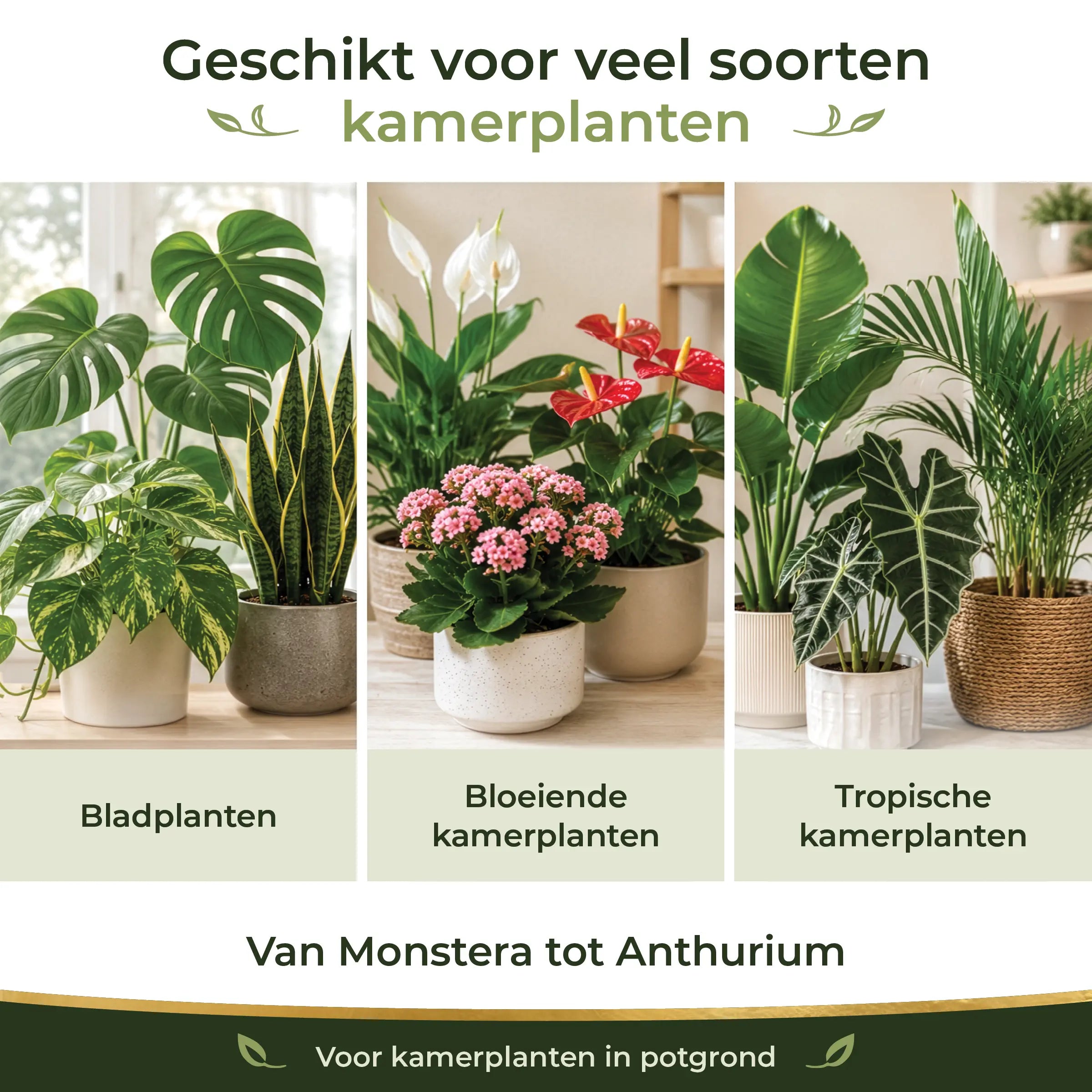 Houseplant Formula suitable for foliage plants, flowering houseplants and tropical indoor plants from Monstera to Anthurium