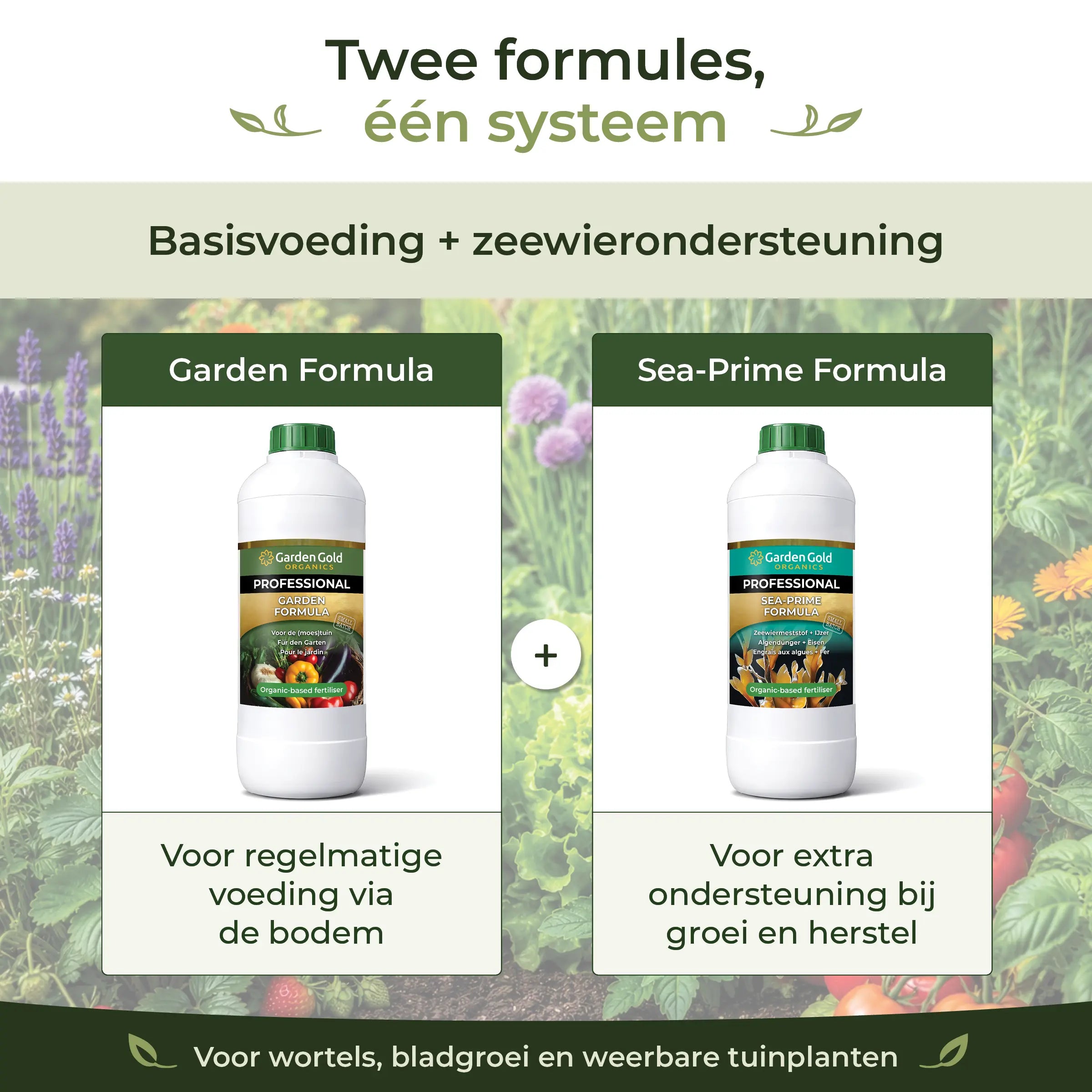 Two-formula feeding system combining Garden Formula as base nutrition and Sea-Prime as seaweed support for garden plants in beds, pots and vegetable gardens
