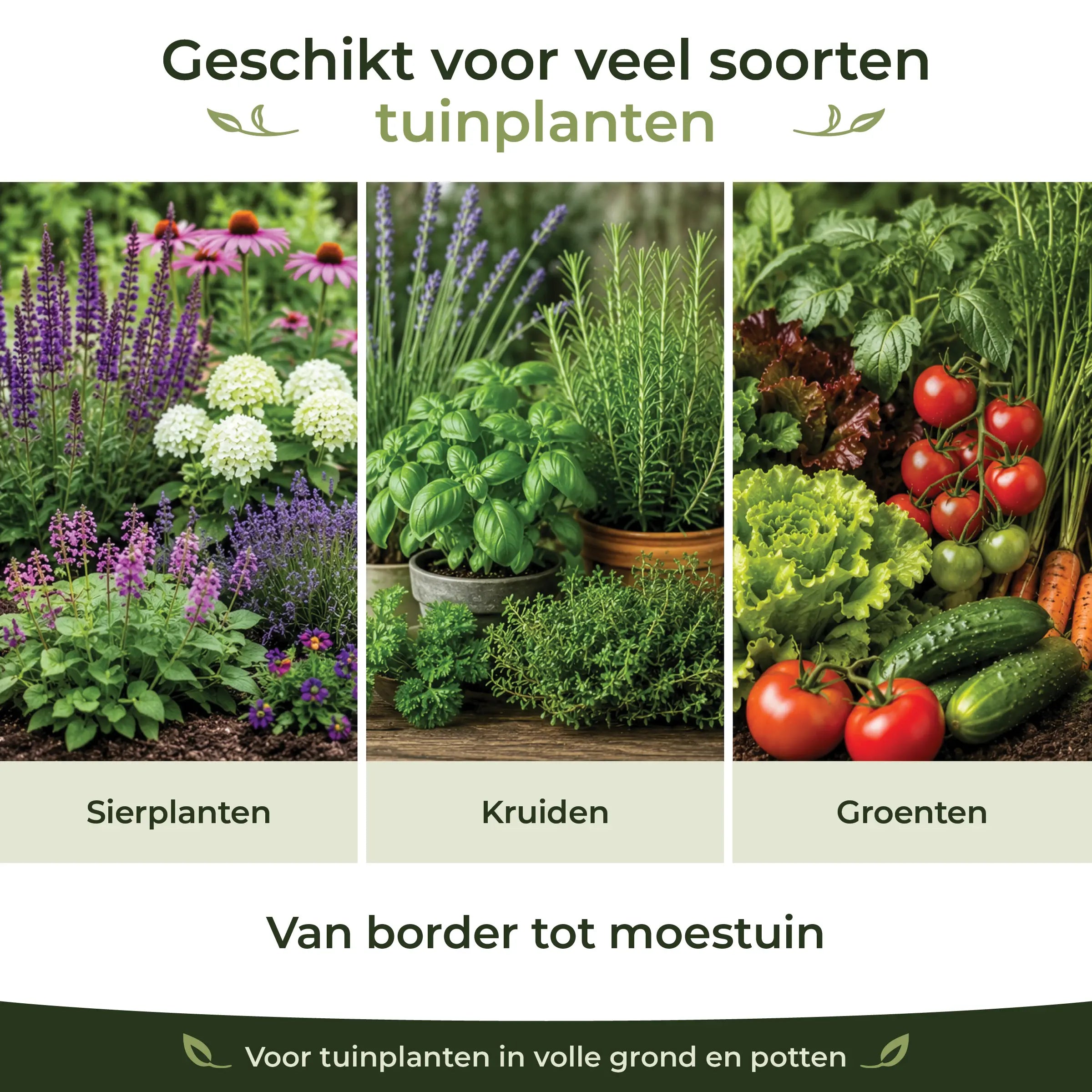 Garden Feeding Program suitable for ornamental plants, herbs and vegetables from flower borders to vegetable gardens