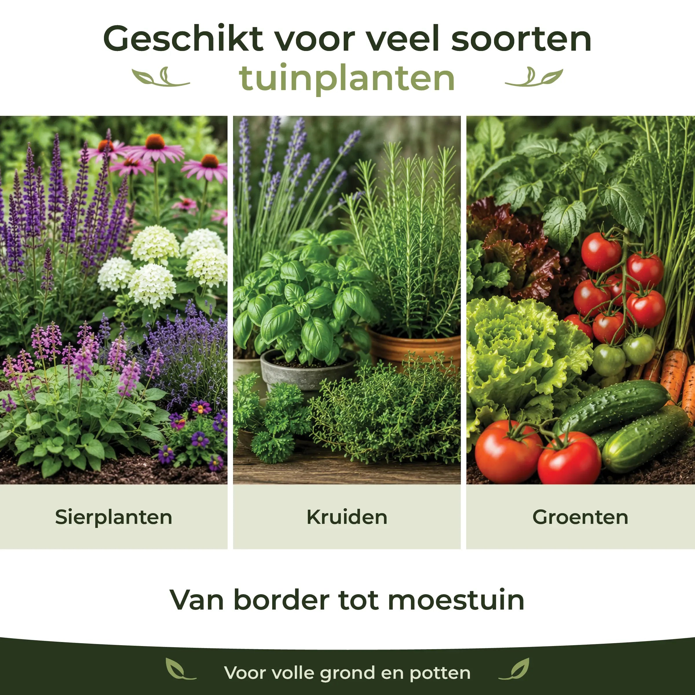 Garden Formula suitable for ornamental plants, herbs and vegetables in garden borders, pots and vegetable beds