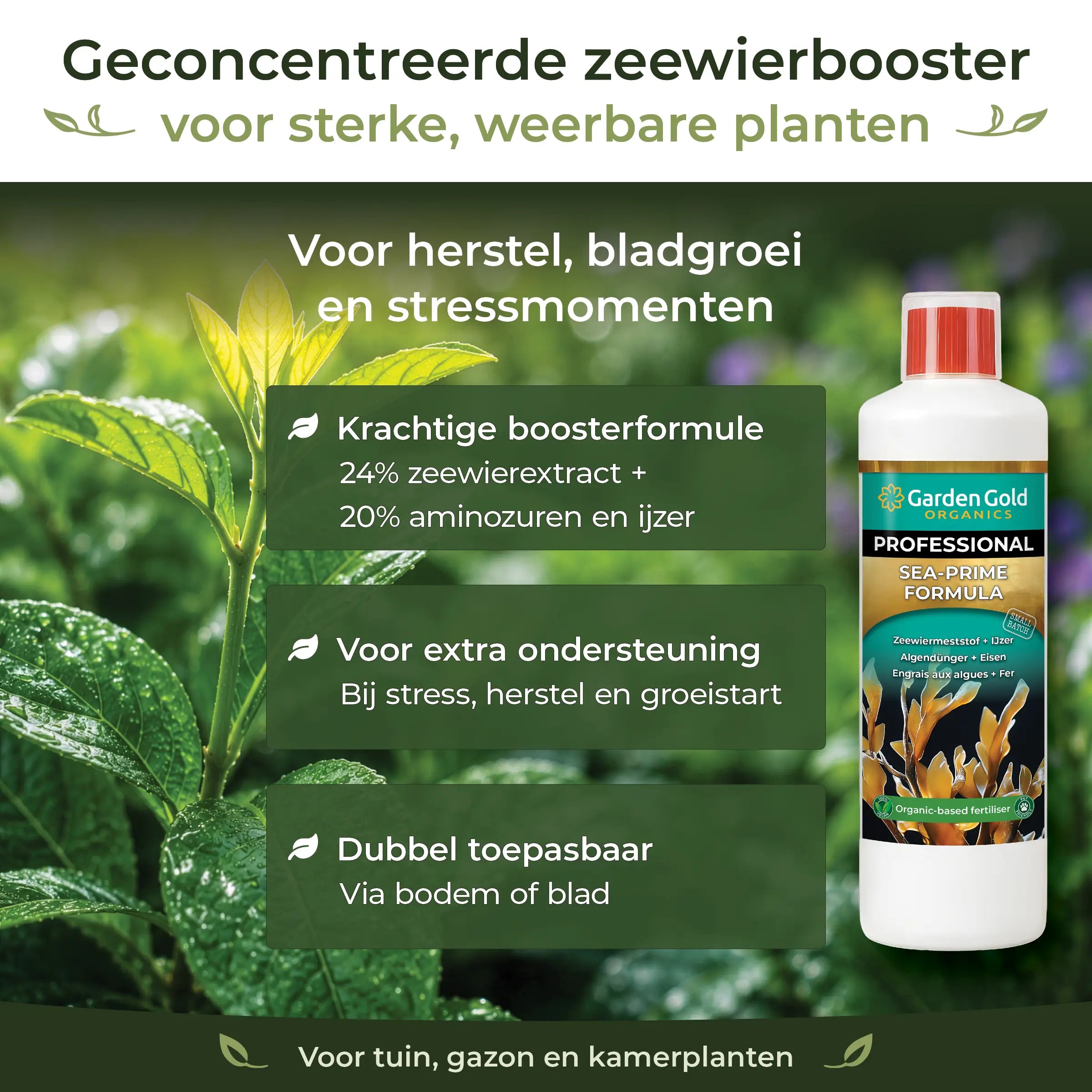 Concentrated Sea-Prime seaweed booster with 24% seaweed extract, 20% amino acids and iron for recovery, leaf growth and stress support