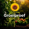 Time-lapse growth trial testing Garden Gold Tomato & Chile Formula against other plant foods, showing plant growth, root development, and the final root ball comparison.